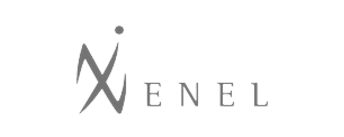 Xenel Logo